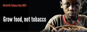 Tobacco - Rapid News GH